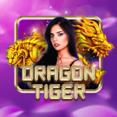 Dragon Tiger live game at jilliqq